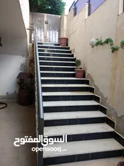  2 شقة للبيع شفا بدران   161 م عالقوشان والترس حوالي 40م