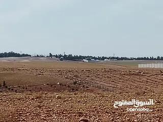  6 قطعة ارض للبيع مساحتها 5دونمات مفروزه قوشان مستقل خلف مستشفى الملك عبدالله وجامعة العلوم والتكنولوجا