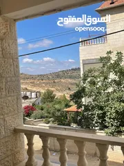  1 شقة مميزة للبيع بيتونيا