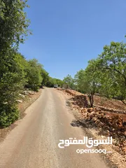  12 مزرعه 2 دونم مزروعه موقع مميز جدا  من مالك مباشر