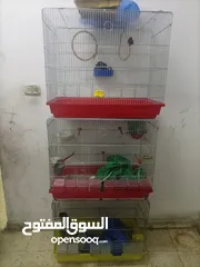  1 متاح مطاير ثمان معالف