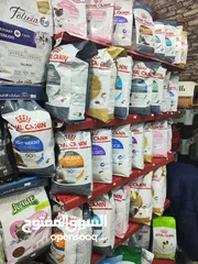  1 رويال كانن كل الاطعمه و الأوان