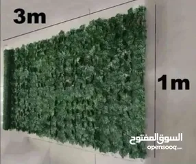  2 رول ورق شجر اخضر كثيف