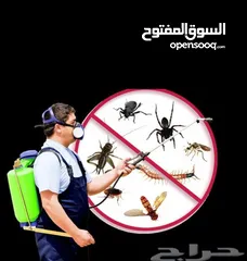  2 شركه رش مبيدات الحشرات مكافحة الحشرات نهائيا مع الضمان