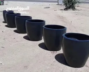  5 قواوير فايبر جلاس بشكل عصري أنيق #قواوير فايبر جلاس  #نباتات زينة ومثمر داخلي وخارجي  #إشراف مهندسين