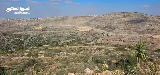  5 قطعة أرض للبيع  في عطارة رام الله