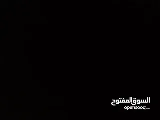 28 بسكليتين الماني مستعمل بحاله ممتازه جدا جنط 26,28 السعر قابل للتفاوض الرقم في الوصف