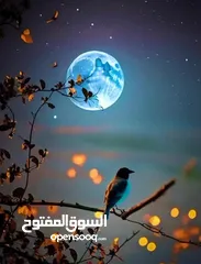  1 غاز فرن للبيع  5عيون