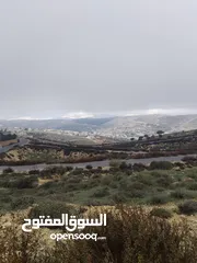  2 5 دنمات قبل مطعم سوار الياسمين