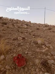 13 قطعة ارض مميزة جدا في ضاحية المدينة
