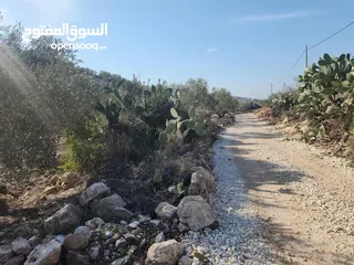  3 حصة 470م منطقة المنتزة