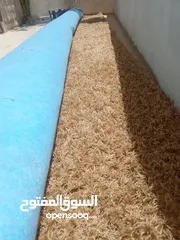  2 سجاد وموكيت طولها 4 م ونص وعرضها 4 متر ونص
