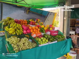  2 استاندات  اللخضرة