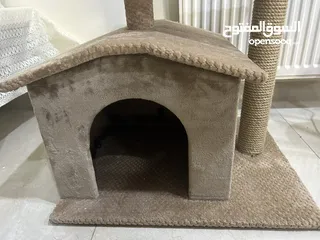  2 منزل قطط جديد