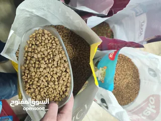  1 اكل قطط نفل الكيلو بس دينارين و ايطالي كمان و تاريخ بعيد