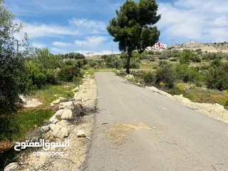  7 960 م شارع الستين