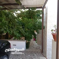  30 خلدا ـ شقه ارضيه فارغه للايجار ـ 200 متر داخلي  200 متر خارجي + حديقه مشجره - كراج خاص