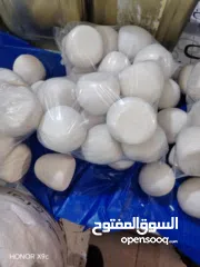  1 لبن غنم طازج ونظيف شغل ألف ألف