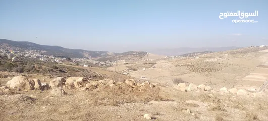 16 الكمشة شمال شفابدران