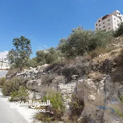  1 أرض للبيع 850 متر طابو في لوزا