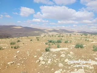  7 قطعة ارض 3دونمات ونصف فقط  مطلة ومرتفعه واصل جميع خدمات شرق جرش دحل