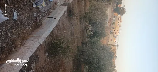  3 قطعه ارض للبيع حي الأحمد مطله على 3 شوارع مهويه من جميع النواحي مزروعه ومسوره دكه