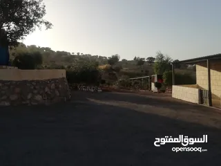  9 مزرعه 5 دونمات مع شاليه في منطقة العالوك