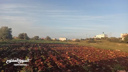  1 عقار للبيع
