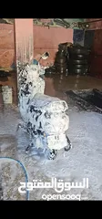  2 سكوتر سوزوكي أكسيس 2021 للبيع 125cc