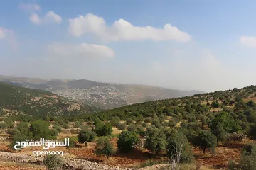  20 قصر فاخر مع خزان ماء كبير و أرض مطلة يصلح فندق ومطعم ومنتجع سياحي أو منزل لعظيم قرب التلفريك