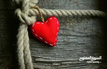  12 صور على الحائط (ستيكرز)