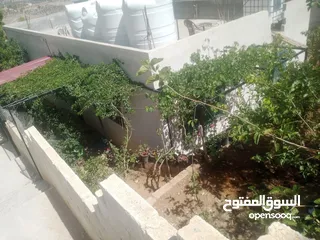  22 منزل مستقل جرش اسكان عجرمه  3غرف نوم 2حمام  صاله مع مطبخ امريكي  بلكونه  حديقه مساحه الارض 305