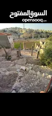  2 أرض البيع شارع البساتين