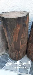  7 جذوع خشبية من شجر الكينيا / 4 قطع