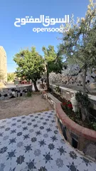  12 مزرعة وشاليه في جرش