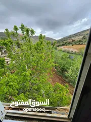  4 ارض للبيع بيت فجار منطقه الدلبه
