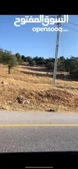  2 قطعه أرض للبيع الموقع عجلون طريق عين جنا سوف المساحه 3 ونص دونم قطعه على شارع رئيسي صالحه للسكن