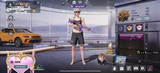  1 حساب ببجي للبيع بسعر رخيص