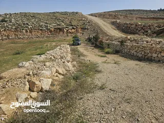  6 مزرعه للبيع. فرصه استثمارية رائعة! مزرعه قائمة وجاهزه للبيع بموقع استراتيجي في منطقة هادئة وطبيعه خل