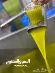  6 زيت زيتون خير السنة 2024/2025///olive oil