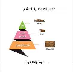  6 جوهرة العود 100m -الماجد للعود