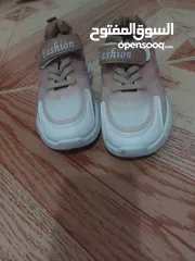 12 ابواط ولادي