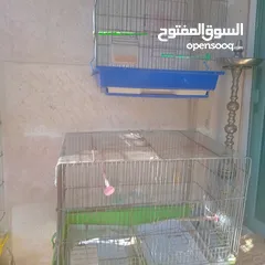  4 قفاص بحال الوكاله لتواصل الزرقاء