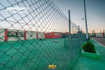  15 Dog hotel ...