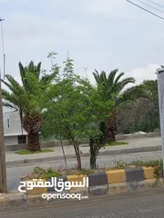  1 مجمع تجاري للبيع في ماحص
