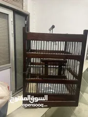  14 اقفاص خشب نظاف بحاله ممتازه للبيع