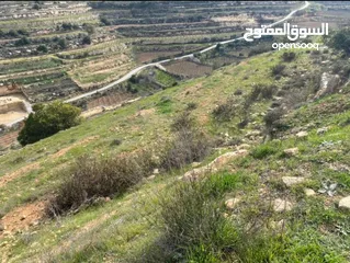 1 ارض للبيع في حلحول
