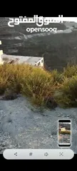  2 ارض مطله. وكاشفه خلف فندق يلدز  كوشان طابو بسعر مغري