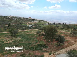  4 2300 م السلط المغاريب قطعة ملوكية تصلح ل فيلا او مزرعة اطلالة ع الغرب و جبال فلسطين