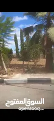  1 ا،ض للبيع في منطقه الطيره مساحه  350متر على 3شوارع